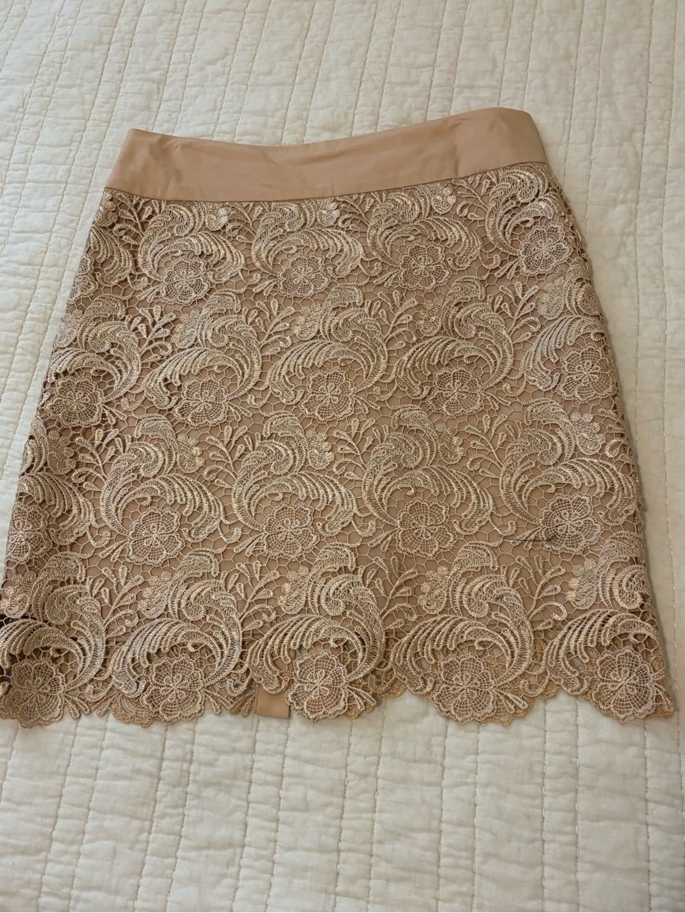 Women’s Golden Nude Lace Pencil Skirt with Nude underlining